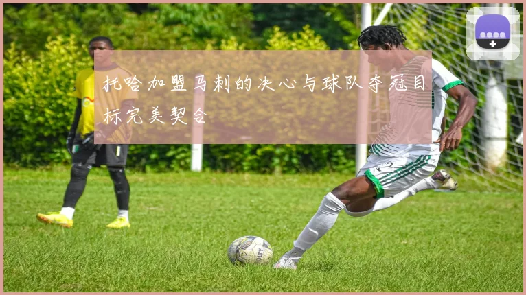 托哈加盟马刺的决心与球队夺冠目标完美契合
