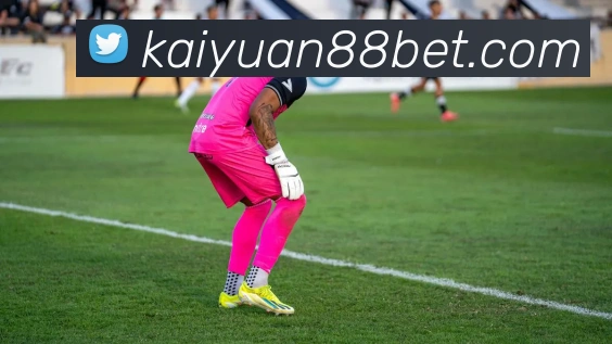 开元棋牌平台生态图