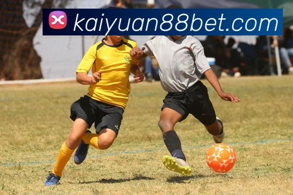 开元棋牌APP 封面图